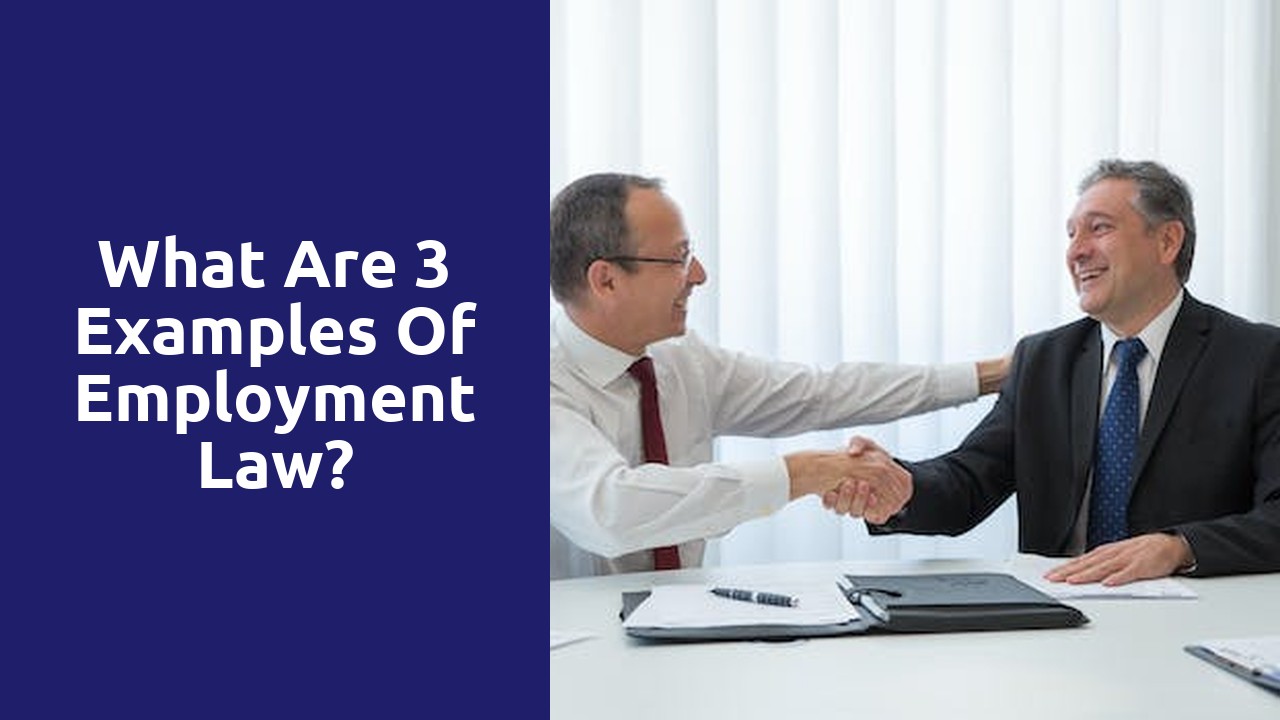 What are 3 examples of employment law?