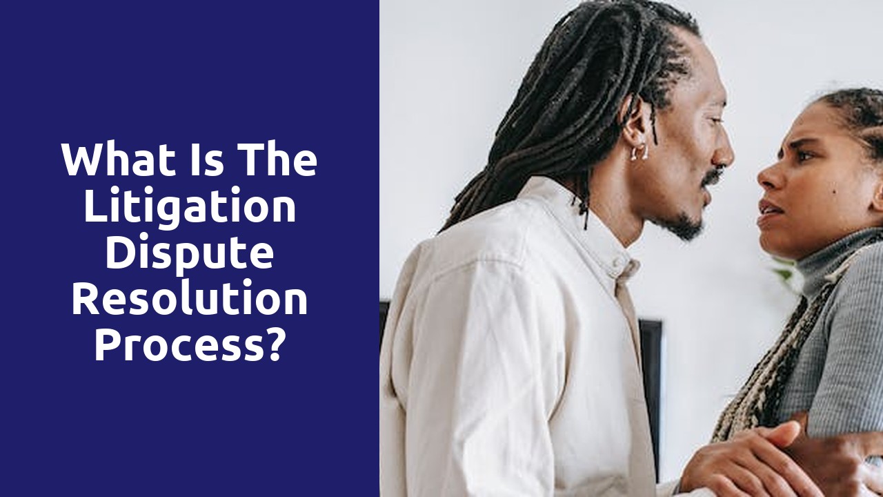 What is the litigation dispute resolution process?